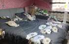 Casa cu 2 dormitoare si anexe gospodaresti de vanzare Cefa central - 3