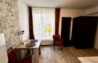 Apartament cu 2 camere semidecomandat în Borhanci - 6