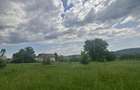 vant urgent teren 5000mp in localitatea hales - 5