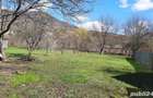 Str. Aurel Vlaicu (Valea Borcutului) - teren intravilan, 20 ari - 2