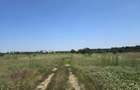 Teren Construcții de 432 mp, în Băneasa - 4