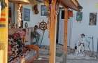 Casa de vanzare in comuna ?agu, jude?ul Arad, teren 1.500 mp