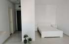 Apartament 1 camera open space si dependinte, 47mp, loc de parcare - 2