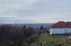 Casă cu 3 camere cu Teren 2600 Mp în Călinești - 8