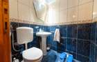 Apartament cu 3 camere de inchiriat in zona Colentina- Doamna Ghica - 28