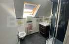Casă cu Teren 4765 Mp în Bârsa - 19