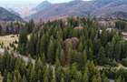 Teren intravilan de 1000 mp, în Poiana Brașov - 11