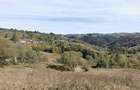 Valea Verde, Comuna. Sohodol, Judetul Alba - 1
