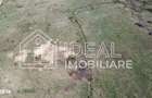 Teren 25.500 mp Valea Avrigului - 3