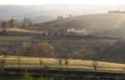Teren de 2 Hectare (20.000 mp) cu doua case restaurate Tarnova, Cara?-Severin - 1