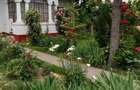 Casa Alba cu Farmec Romanesc-Suseni, Arges - 4