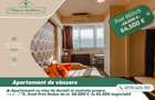 Apartament cu o camera si nisa de dormit, zona Uta, Arad - 7
