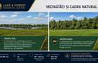 Proiect Lac Padure PUZ Aprobat Moara Vlasiei 2 km de A3 - 3