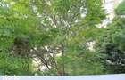 Inchiriere garsoniera cu centrala proprie Calea Calarasilor - 4