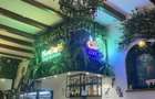Spatiu de inchiriat Zoo Cafe Transilvania - 1