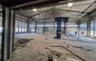 Distribu?ie /productie 3800 mp -constructie /14.000 mp c... - 4