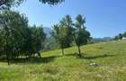 Teren intravilan de 2951 mp, în Sohodol - 3