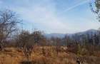 teren loturi pamant Piatra Neamt Scaricica Bisericani - 14