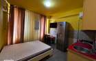 Apartament 1 camera Pacurari , 25 metri, etaj -1 Cod:162416 - 2