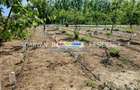 Teren intravilan de 1672 mp, în Gorgota - 5