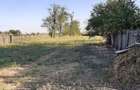 Teren intravilan_5,5 Euro mp, front stradal: 95,19 ml - sat Gageni, com. Sahateni, Buzau - 6