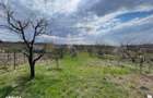 Casa mica cu livada de vanzare in Saldabagiu de Munte Oras la 10 min - 3