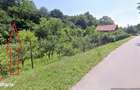 1.413mp extravilan Valea Vetelului zona retrasa - 6