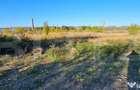 Teren 5000m2 Targoviste - ZONA INDUSTRIALA C.O.S. TGV - 4