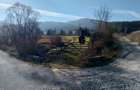 Teren de vanzare in Bucovina - 5