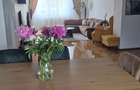 Apartament 4 camere 125 mp - 6