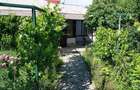 Casă cu 2 camere cu Teren 1650 Mp în Bragadiru - 5