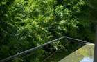 Apartament 2 camere parter inalt, centrala, termopane - 2