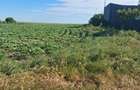 Teren agricol 1000mp, acces asfaltat, 35.000 EUR - 2