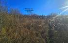 Teren intravilan 2.000 mp – Seciu, 2 deschideri, Priveliște panoramica - 8