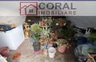 De vanzare casa, zona Almasu Sec - 8