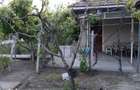 Vand casa in zona Fetesti - 5