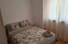 Apartament cu 2 camere decomandat în Șagului - 1