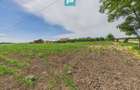 Teren extravilan in suprafata de 10.000 mp, Arad - 11