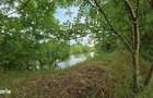 Domeniu de 13.054 mp cu vila de ~1.000mpc si lac privat Teisori, Bulbu