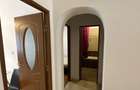 Apartament cu 3 camere decomandat în Podu Roș - 8