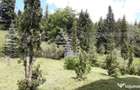 Casa de vacan?a in Piatra Fantanele + 4,5 arii teren - 1