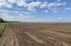 15 ha terenuri agricole la Salcuta judetul Dolj - 1
