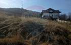 Teren 500mp Zona Fermelor - 1