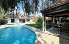 Vila de lux, stil contemporan -  IANCU NICOLAE - 1