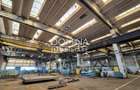 Inchiriere complex industrial versatil *hale - birouri - platforme betonate* - 7