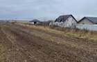 Teren Dorohoi - 23000 mp - Sau - Parcele 1000mp, 900mp, 1500mp, etc. - 7