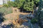 Casă individuală cu 4 camere cu Teren 330 Mp în Dacia - 5