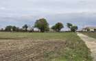 Comuna Amzacea- sat G.Scarisoreanu -Ferma zootehnica , teren 5,1ha - 5