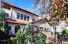 Spatiu comercial ultracentral, in Campina, PH, parc central Milia, Bdul Carol I - 3