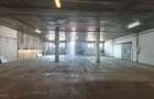 Hala open space 550 mp, acces TIR, zona Baciu - 2